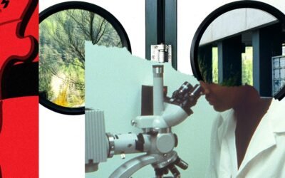 The Shaky Ground Truths of Wikipedia