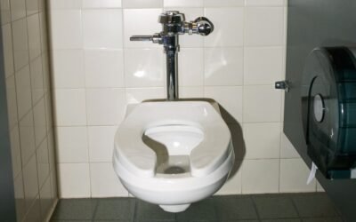 The Pandemic Proved That Our Toilets Are Crap