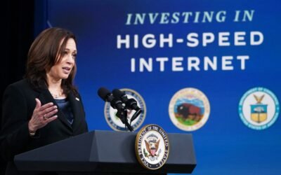 Political and Urban-Rural Divides Prolong The Digital Divide