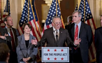 To Fight Online Misinformation, Criminalize Voter Suppression