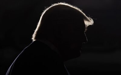 Trump’s Failed Blog Proves He Was Just Howling Into the Void