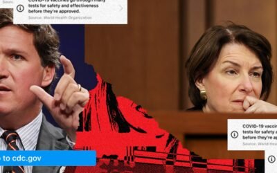 Let’s Keep the Vaccine Misinformation Problem in Perspective