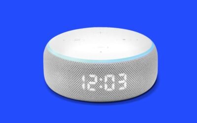 Amazon Echo Dots Store a Wealth of Data—Even After a Reset