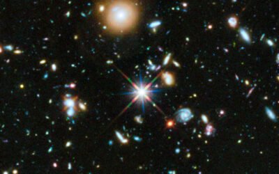 Are Humans the Meanest Species in the Universe?