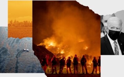 Environmental Law Is Getting in the Way of Climate Action