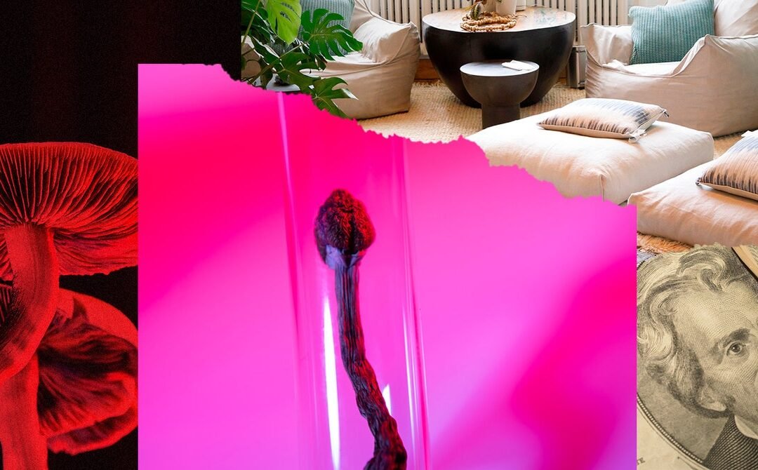 Big Tech’s Psychedelics Grift