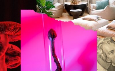 Big Tech’s Psychedelics Grift