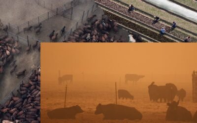 Curb Your Food Tech Enthusiasm