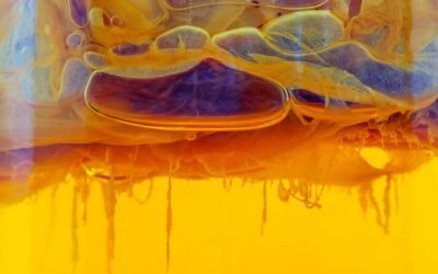 Kombucha Cultures Could Be the Key to Better Water Filters