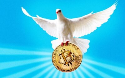 We All Need to Stop Only Seeing the Dark Side of Crypto