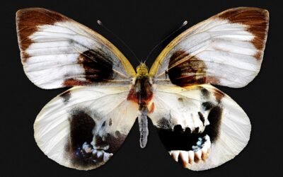 What Will Replace Insects When They’re Gone?