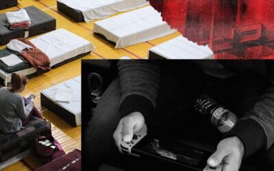 When I Left My Home in Kyiv, ‘Stardew Valley’ Was a Lifeline