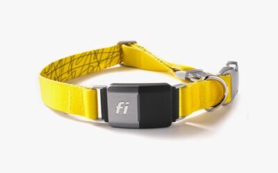 11 Great Deals to Spoil Your Pet for National Pet Day