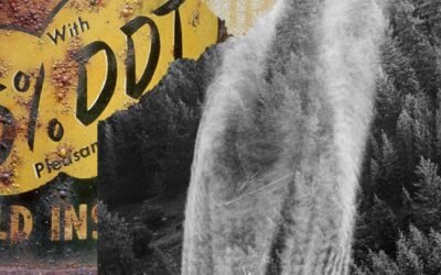 How the Battle Over a Pesticide Led to Scientific Skepticism