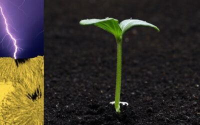 I Don’t Understand Anything Anymore