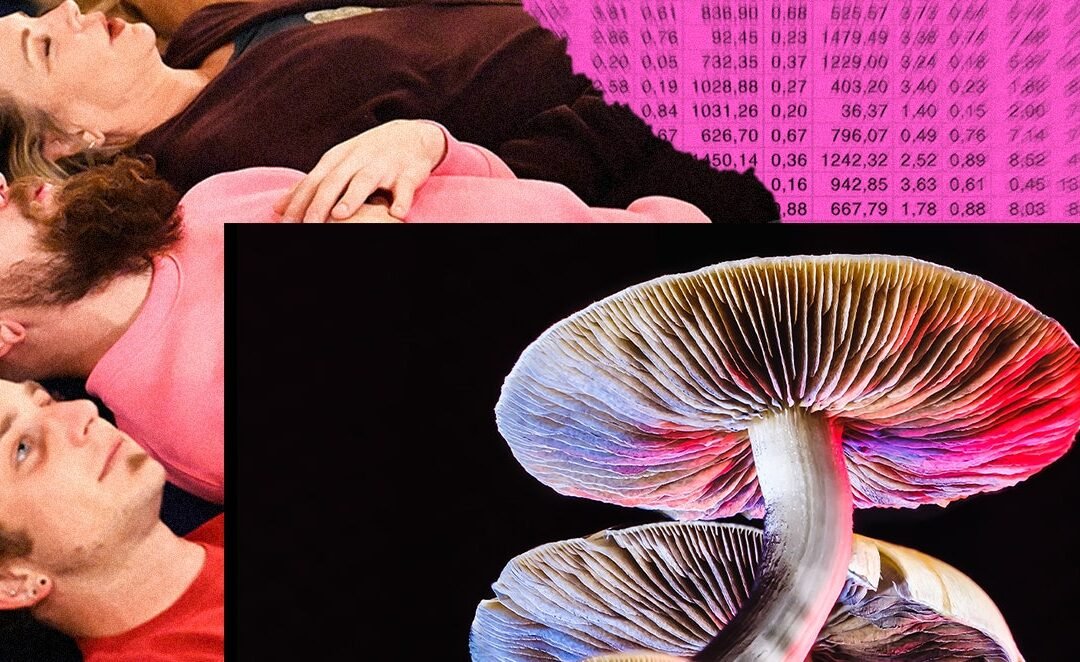 Seeking Psychedelics? Check the Data Privacy Clause