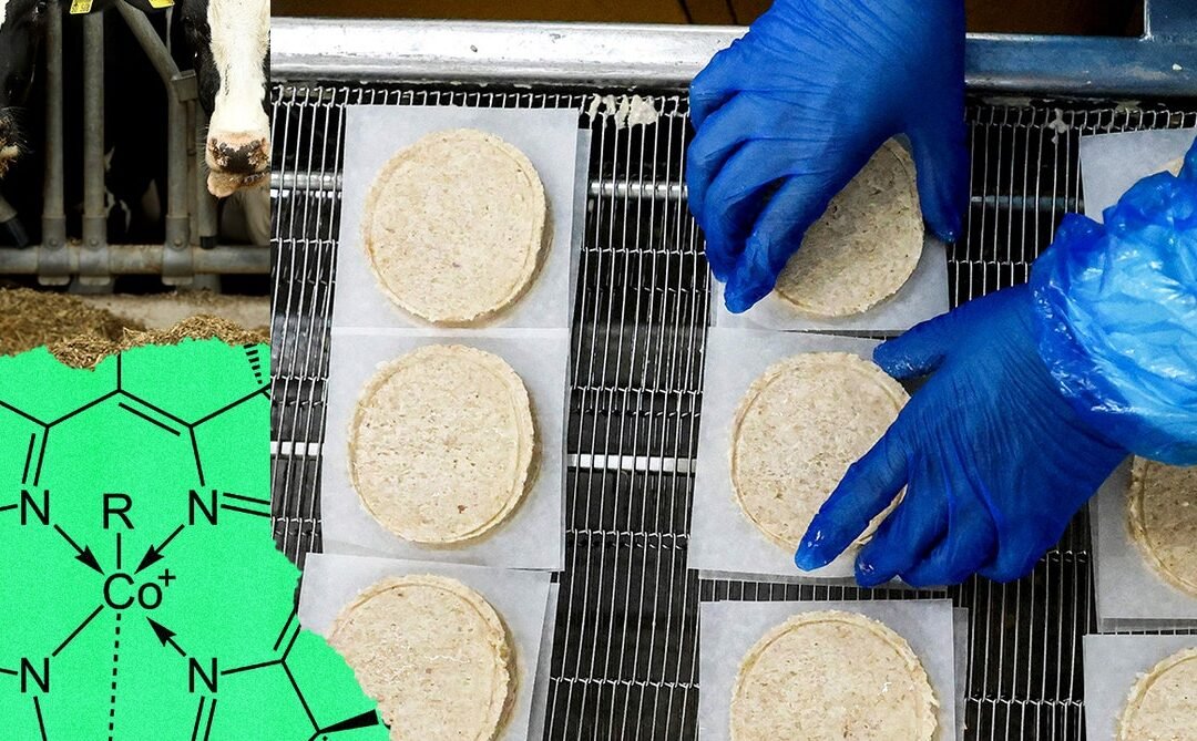 The World Needs Processed Food