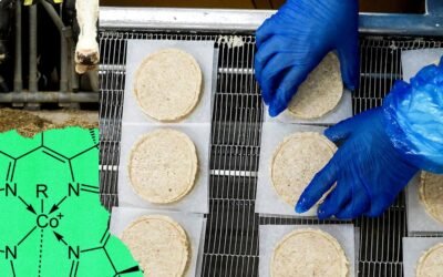 The World Needs Processed Food