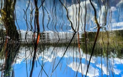 The Grim Origins of an Ominous Methane Surge