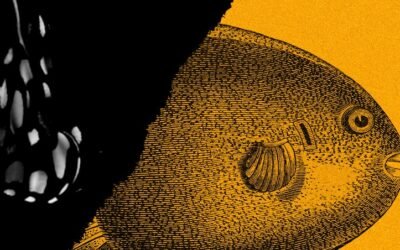 The Many Metaphors of Metamorphosis