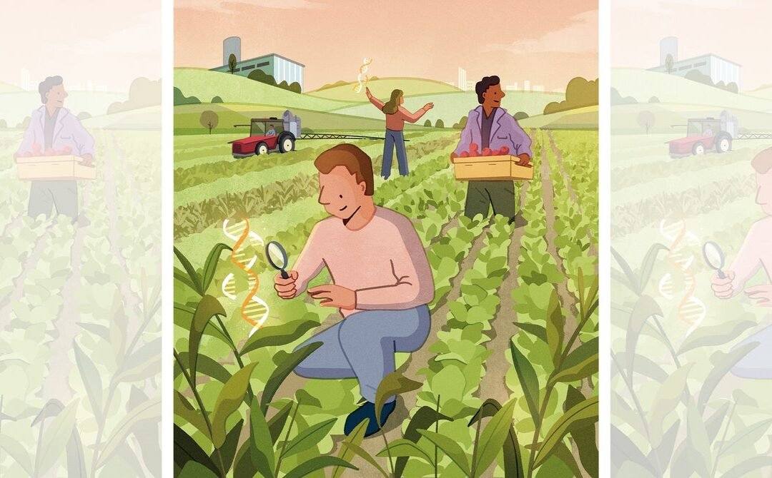 Crispr Wants to Feed the World