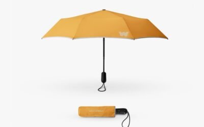 Weatherman’s Umbrellas Are on Sale Right Now
