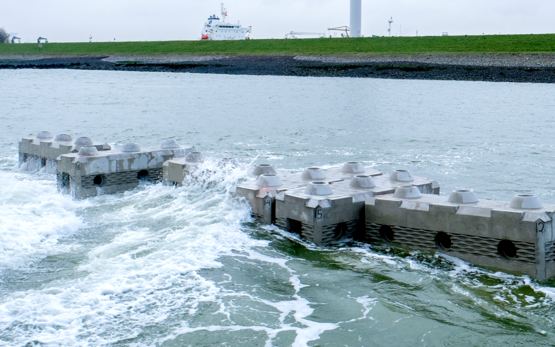 To Fight Coastal Erosion, Design a Bespoke Artificial Reef