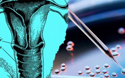 Artificial Wombs Will Change Abortion Rights Forever