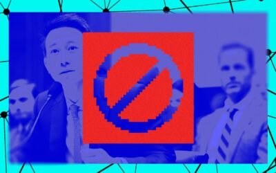 TikTok and the Retreat of the Open Web