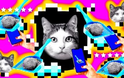 My Tips for a Killer Product Launch