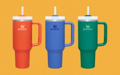 Why Is There Lead in Stanley Cups and Other Reusable Water Bottles? (Updated)