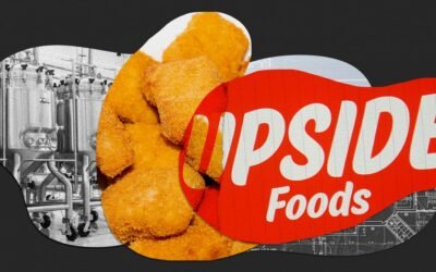 Leading Lab-Grown Meat Company Upside Foods Just Paused a Major Expansion