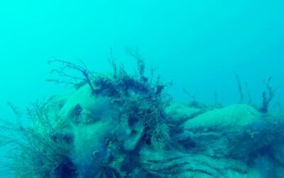 Illegal Trawlers Are No Match for Undersea Sculptures