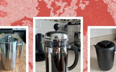 5 Best French Presses (2024): Plastic, Glass, Stainless Steel, Travel